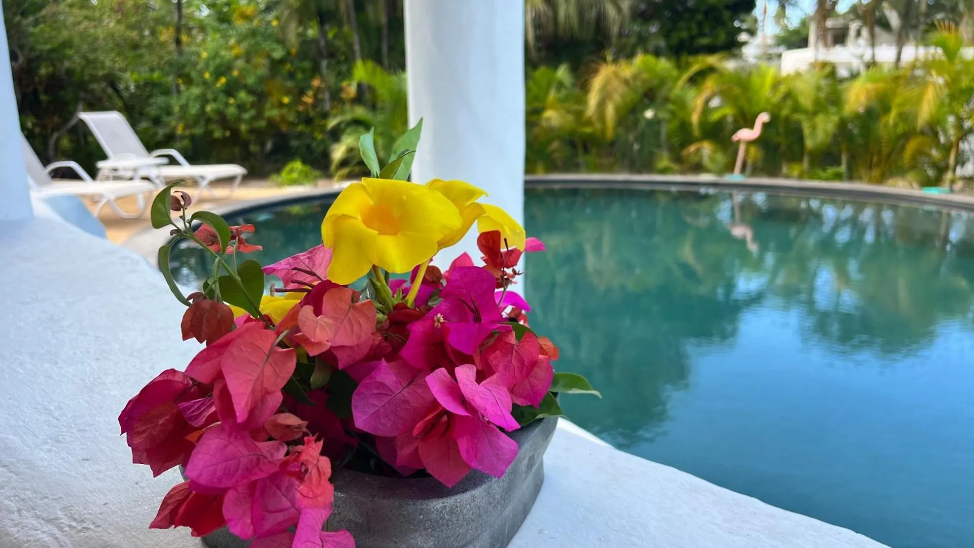 Villa Blanca Las Terrenas