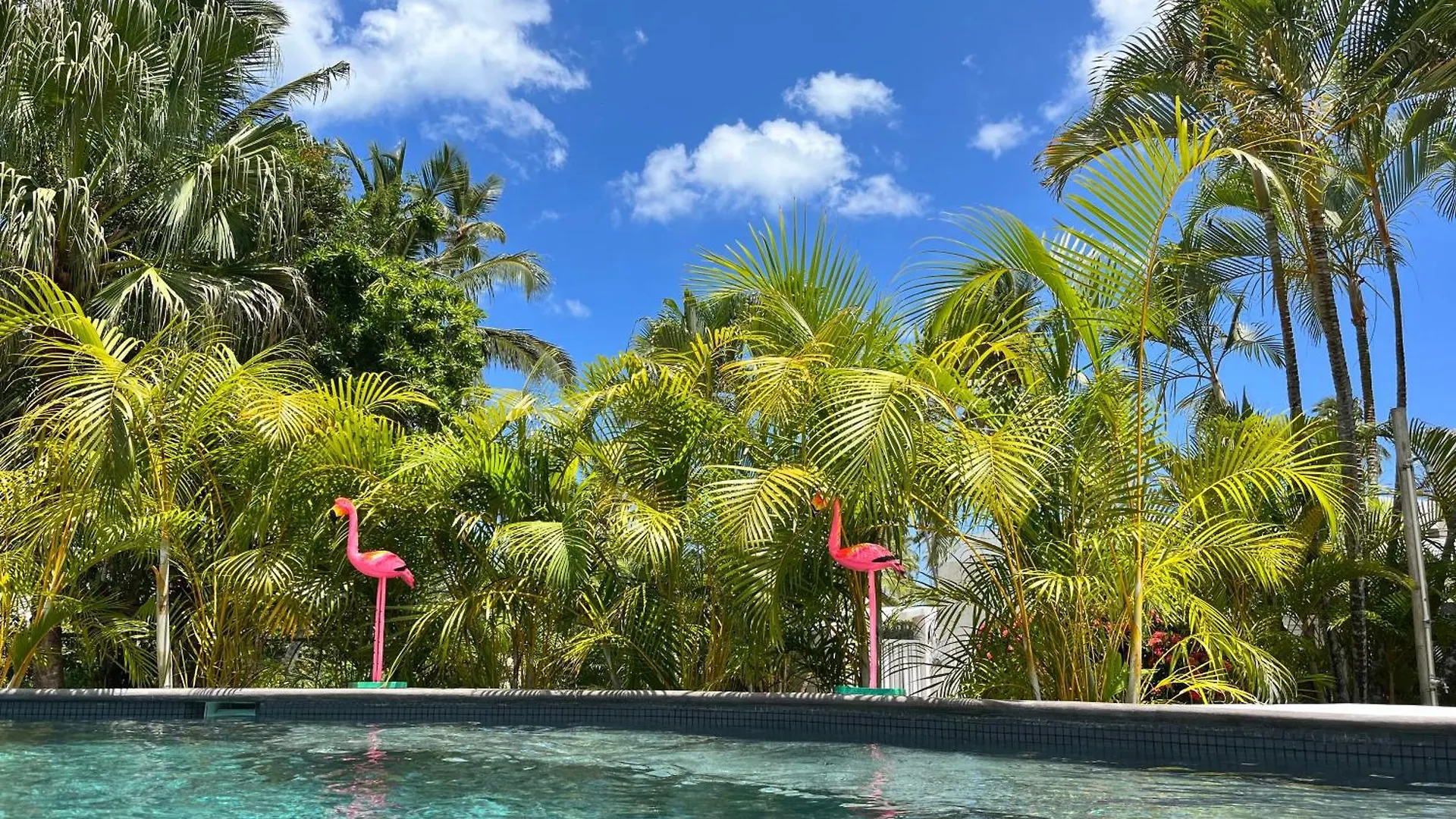 Villa Blanca Las Terrenas Dominican Republic